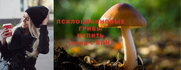 СК Алзамай