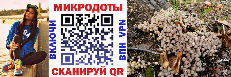 Псилоцибиновые грибы Psilocybine cubensis  Нелидово 